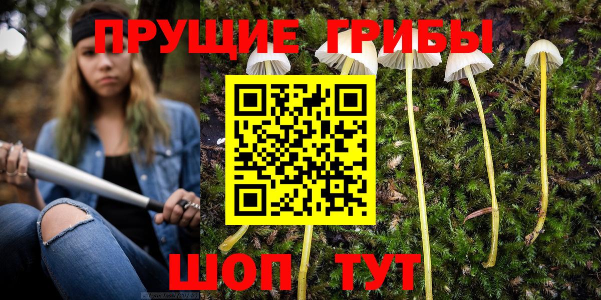 Галлюциногенные грибы прущие грибы Москва