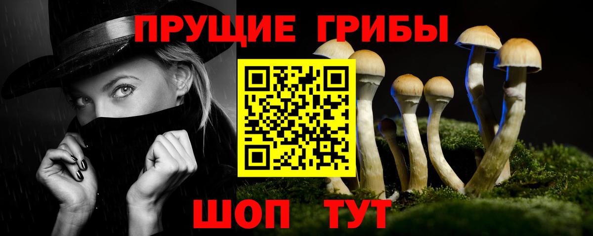 Псилоцибиновые грибы GOLDEN TEACHER  Вход с VPN  Москва 
